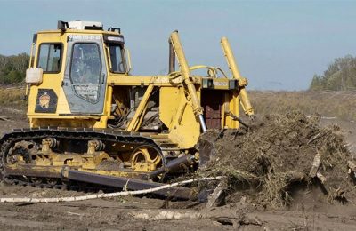 Подмосковье возвращает к жизни заброшенные поля