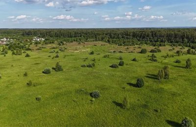 Аграрии региона освоят новые площади для сельхозпроизводства
